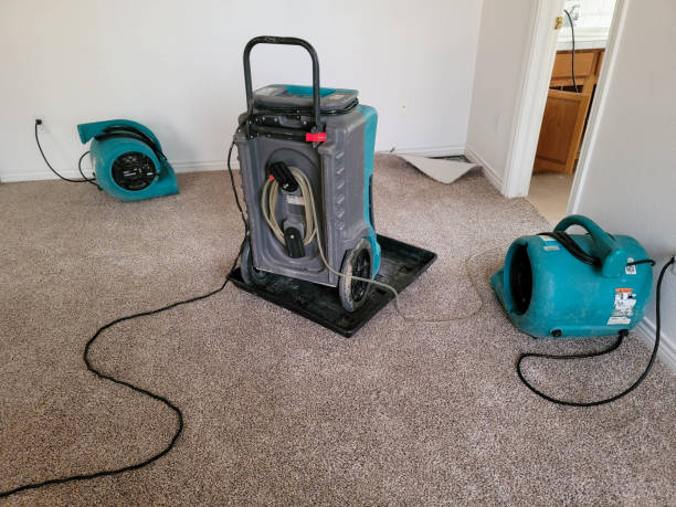 Best Water damage contractors near me  in Englishtown, NJ