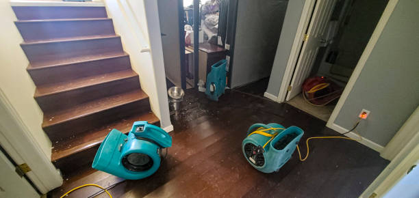 Best Ceiling water damage repair  in Englishtown, NJ