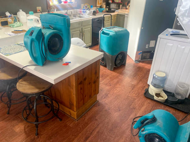 Best Sewage cleanup and water damage restoration  in Englishtown, NJ