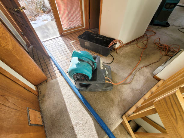 Best Sewage cleanup and water damage restoration  in Englishtown, NJ