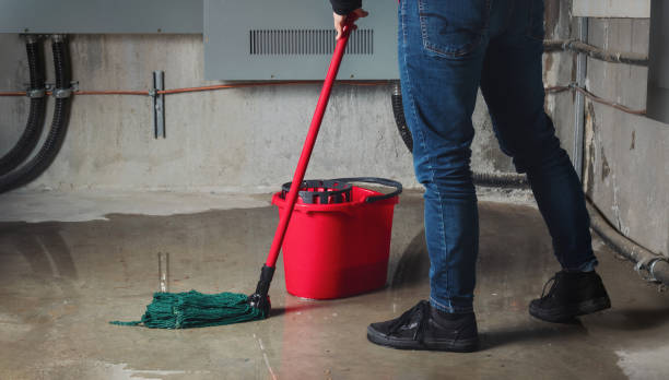  Englishtown, NJ Water damage restoration Pros