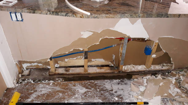 Best Water damage restoration near me  in Englishtown, NJ
