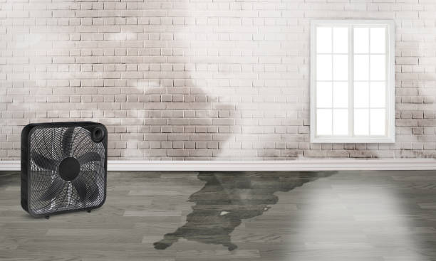 Best Water damage repair service  in Englishtown, NJ