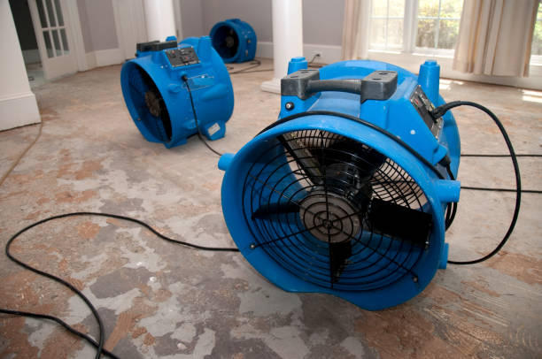 Best Basement water damage restoration  in Englishtown, NJ