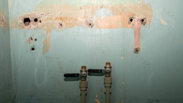 Best Flooded house restoration  in Englishtown, NJ