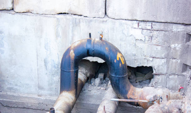 Best Water damage restoration company  in Englishtown, NJ