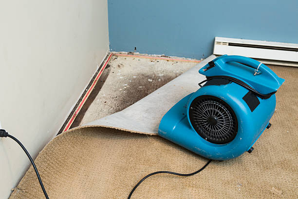 Best Water damage restoration near me  in Englishtown, NJ